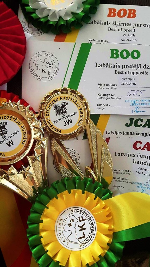 Dog shows in Latvia
